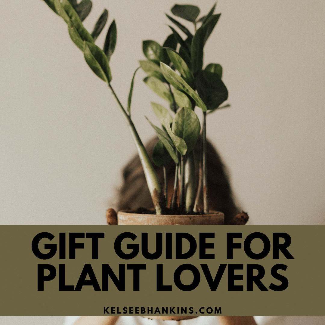 Girl holding plant - gift guide for plant lovers
