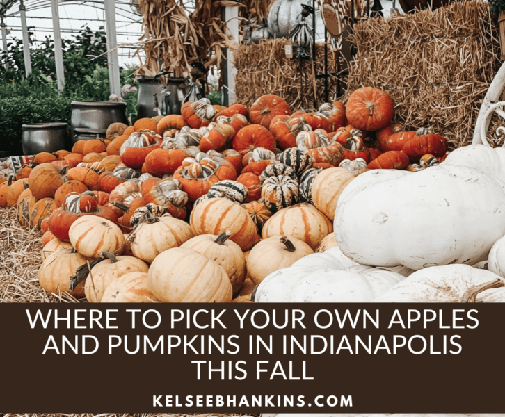 apple and pumpkin picking indianapolis